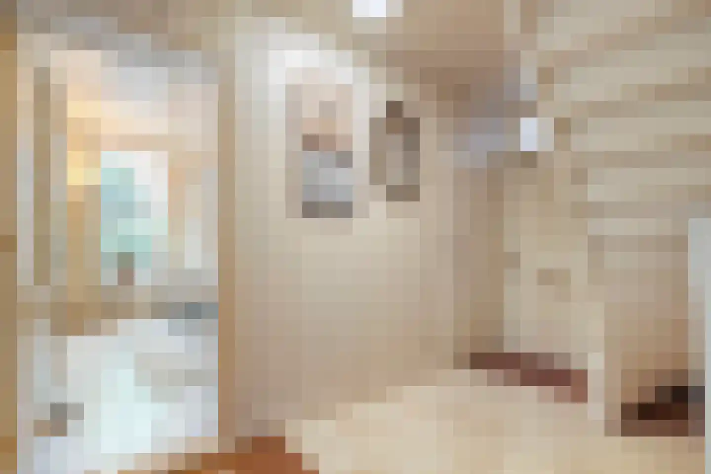 Bierkade 4 Blokzijl thumbnail 16