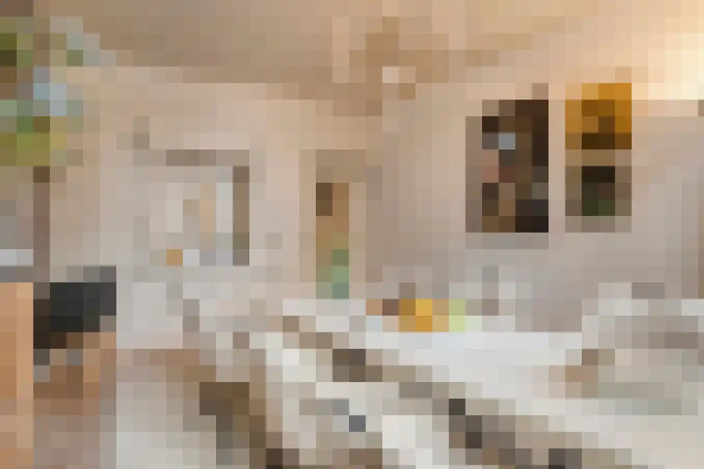 Bierkade 4 Blokzijl thumbnail 18