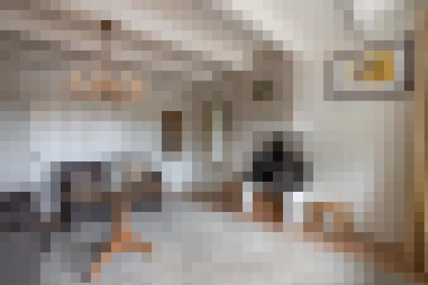Bierkade 4 Blokzijl thumbnail 20