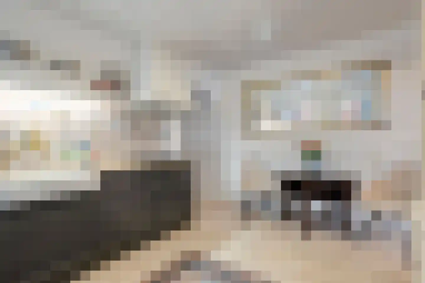 Bierkade 4 Blokzijl thumbnail 22