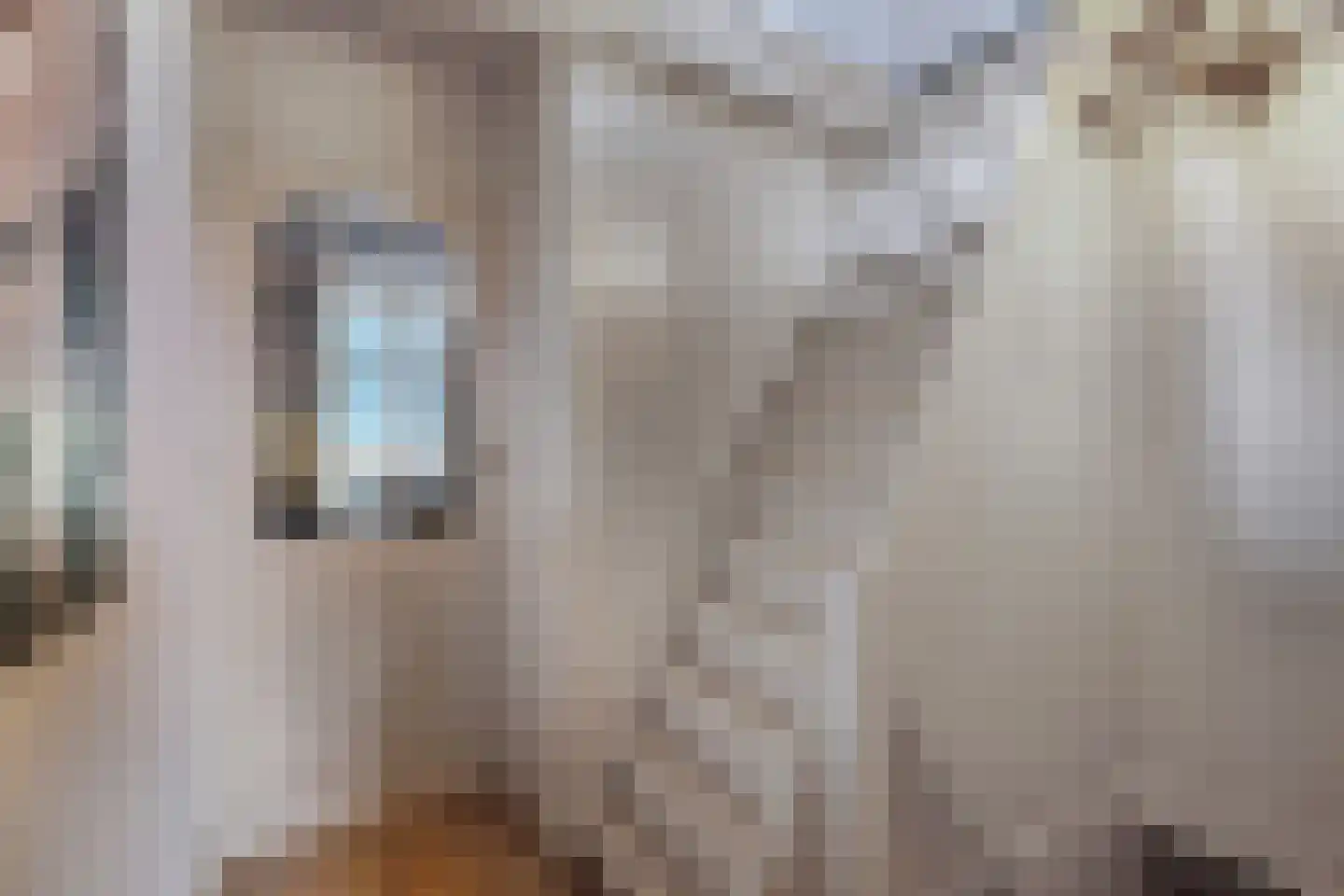 Bierkade 4 Blokzijl thumbnail 23