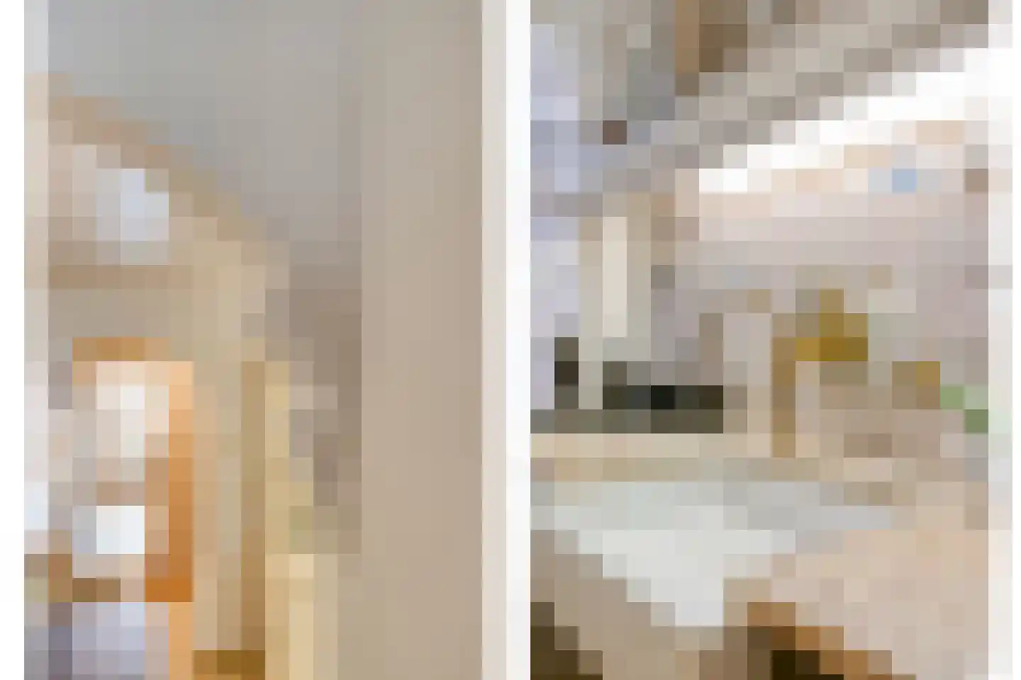 Bierkade 4 Blokzijl thumbnail 23