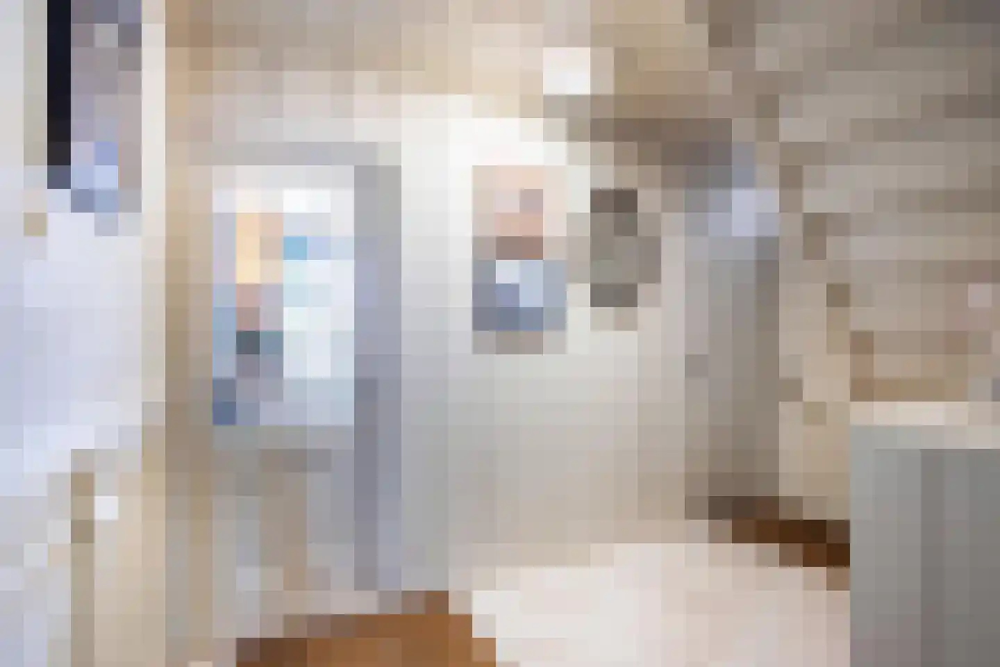 Bierkade 4 Blokzijl thumbnail 24