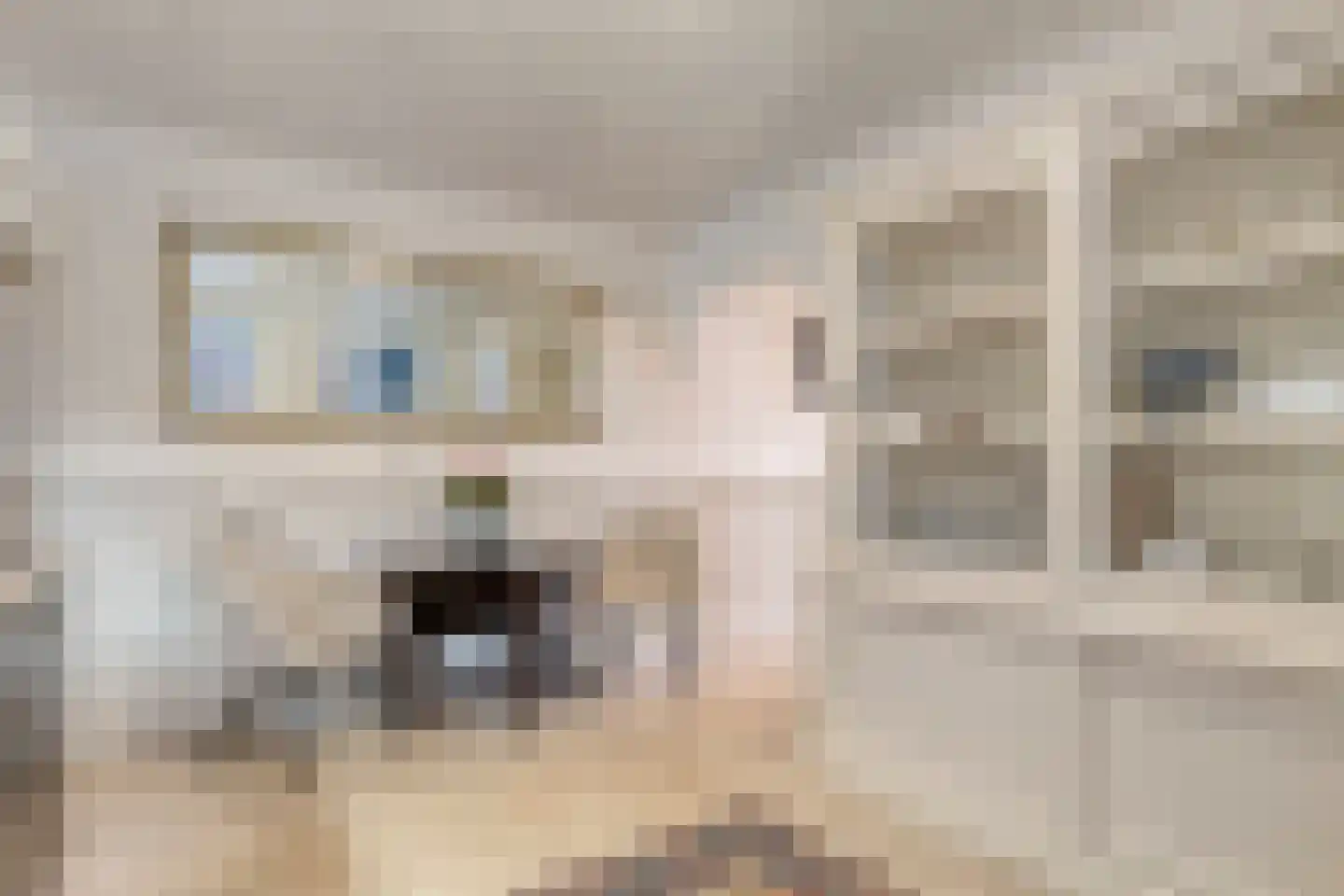 Bierkade 4 Blokzijl thumbnail 25