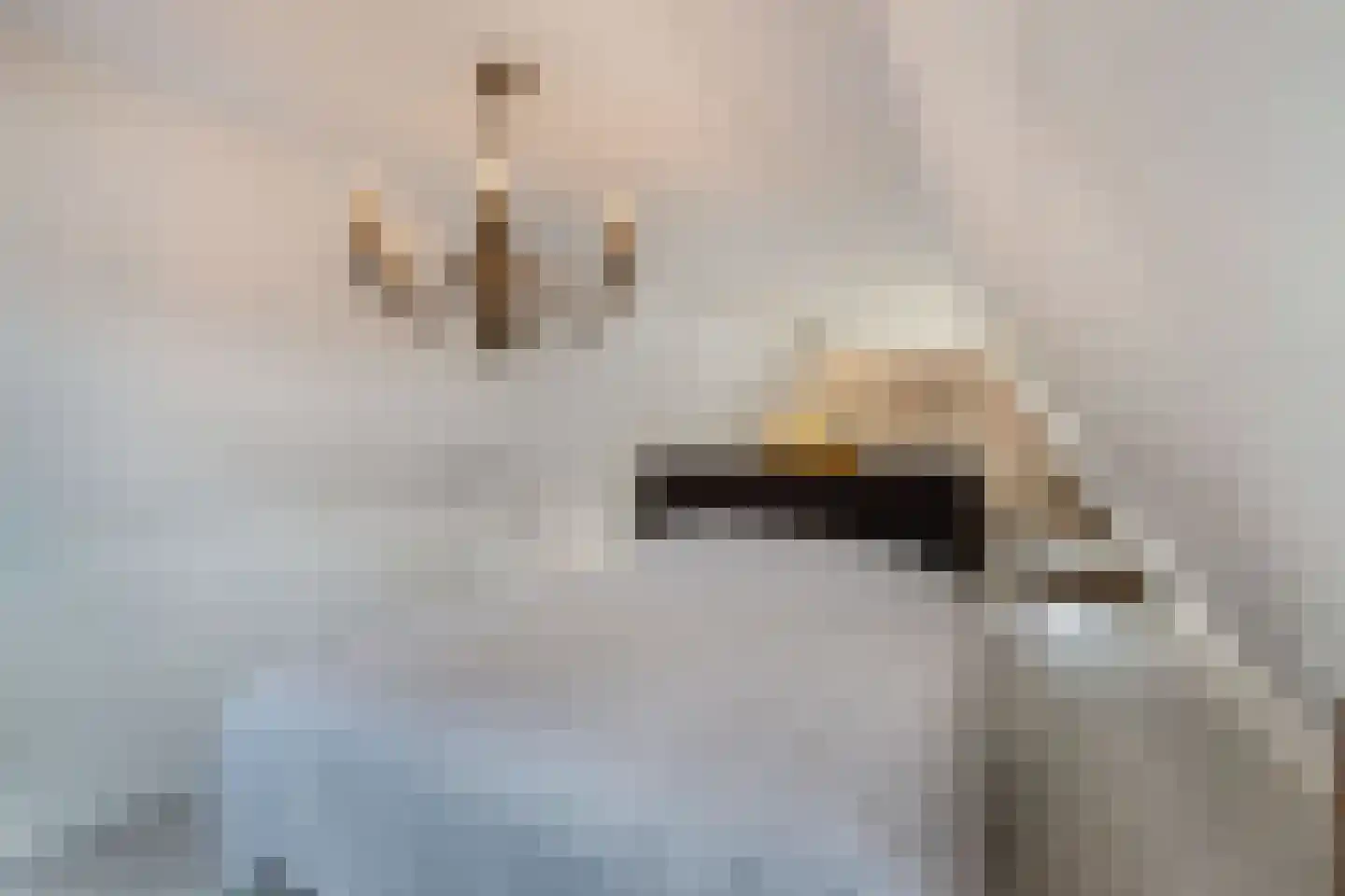 Bierkade 4 Blokzijl thumbnail 25