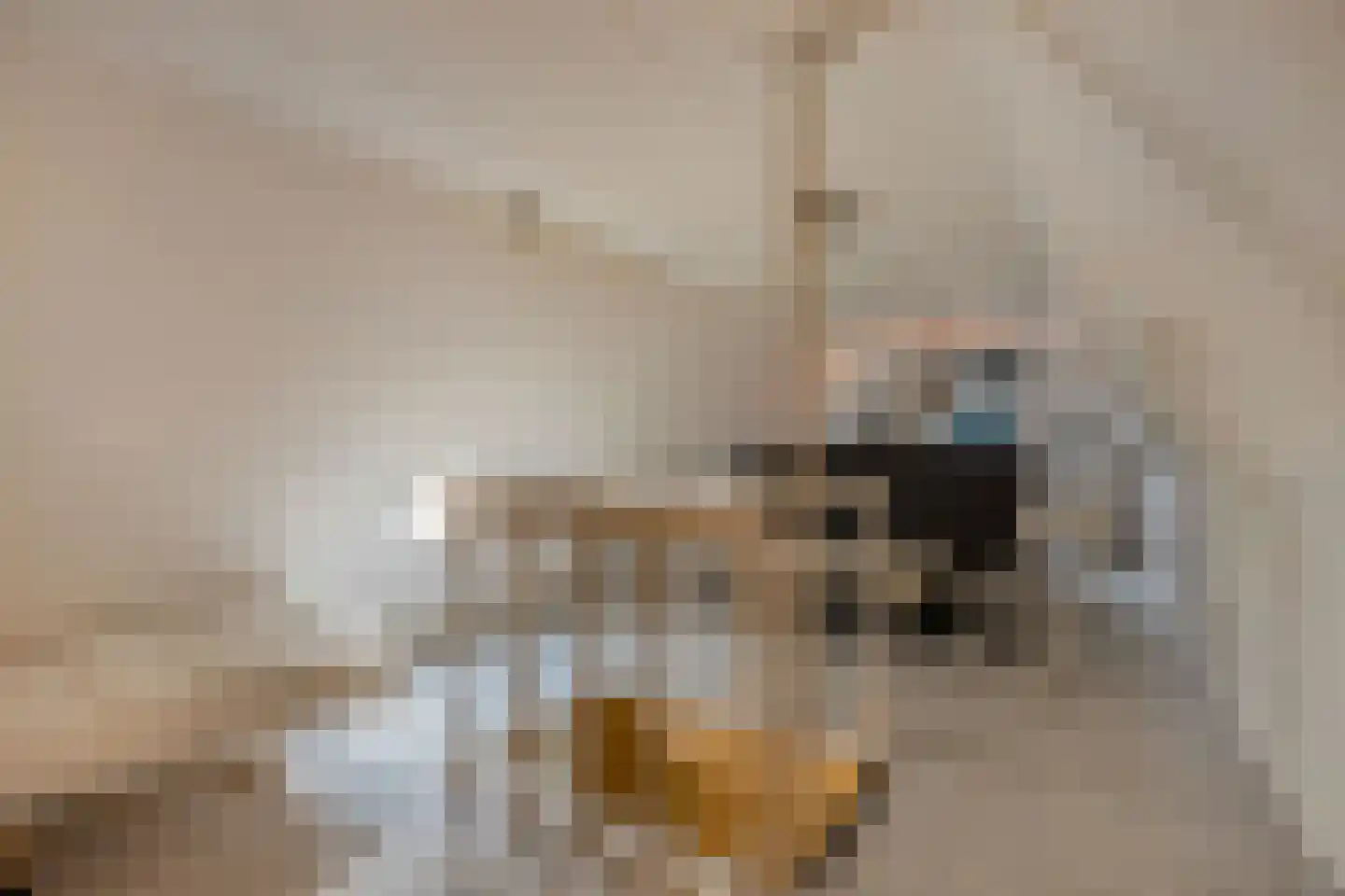 Bierkade 4 Blokzijl thumbnail 27