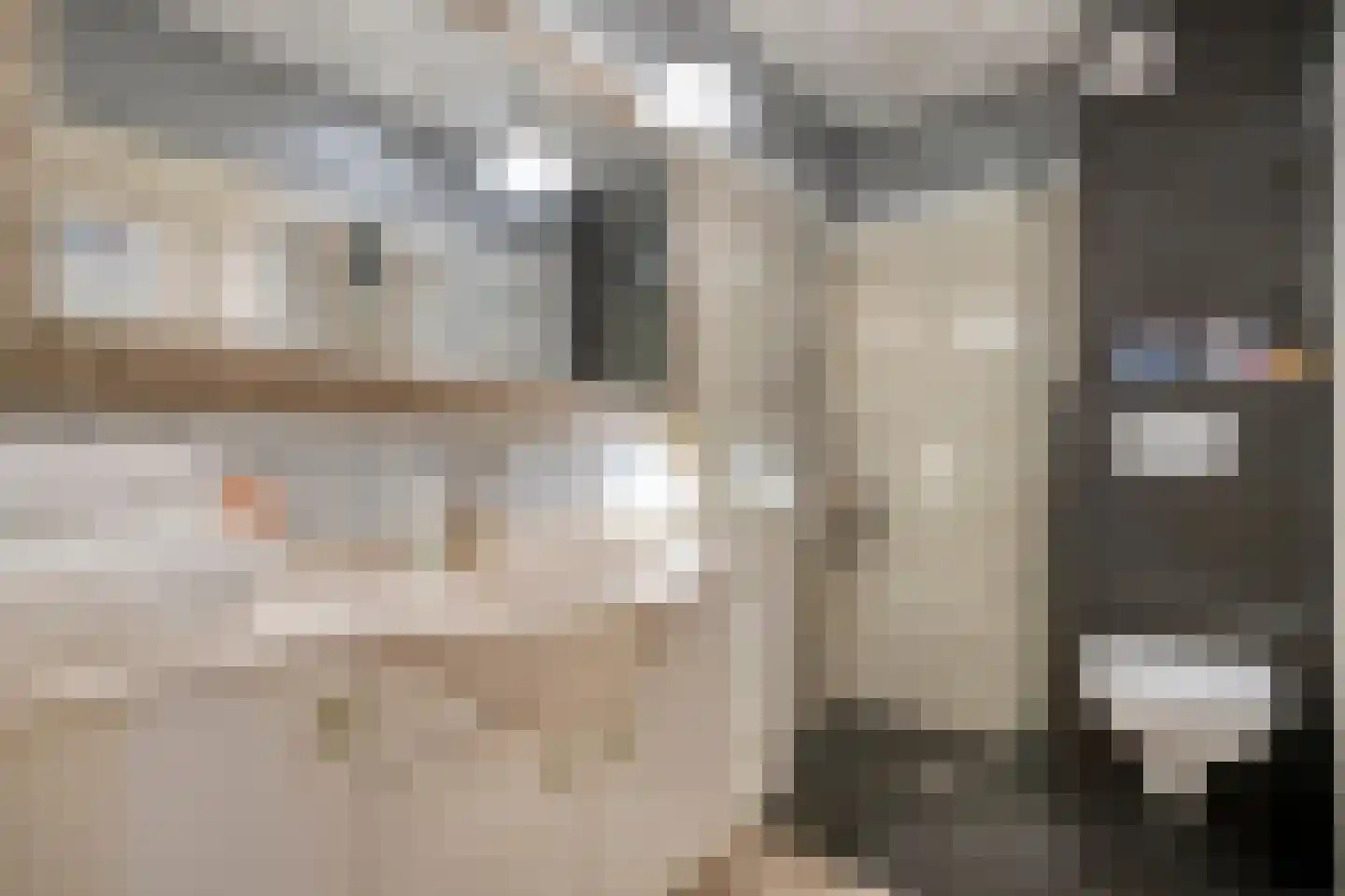 Bierkade 4 Blokzijl thumbnail 30
