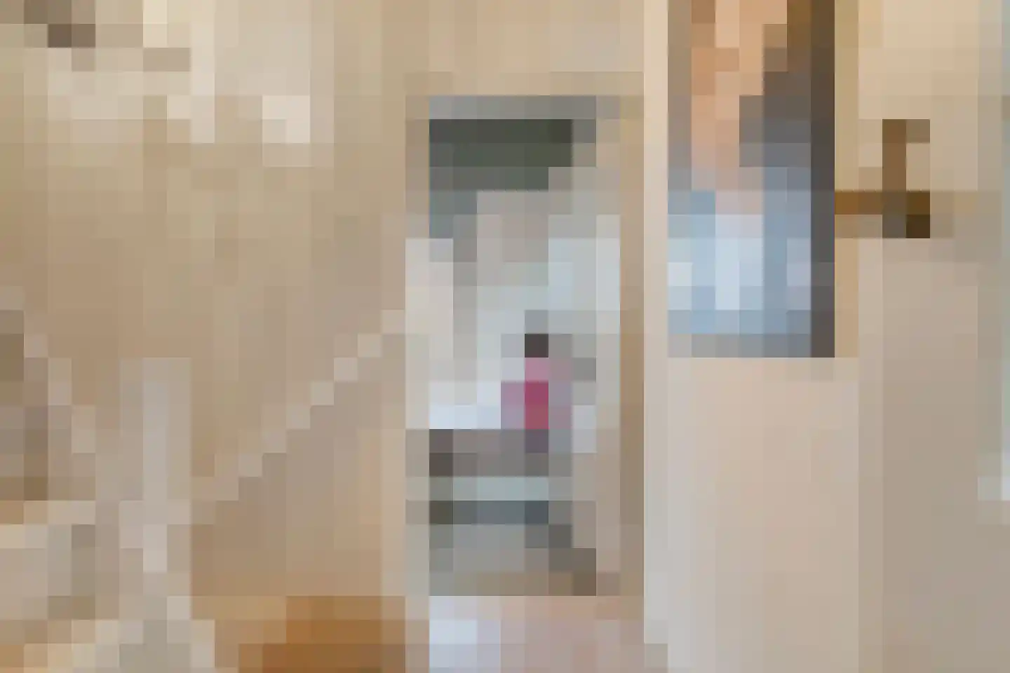 Bierkade 4 Blokzijl thumbnail 34