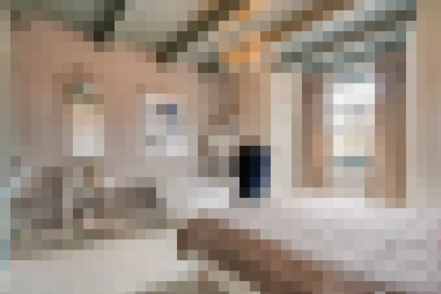 Bierkade 4 Blokzijl thumbnail 38