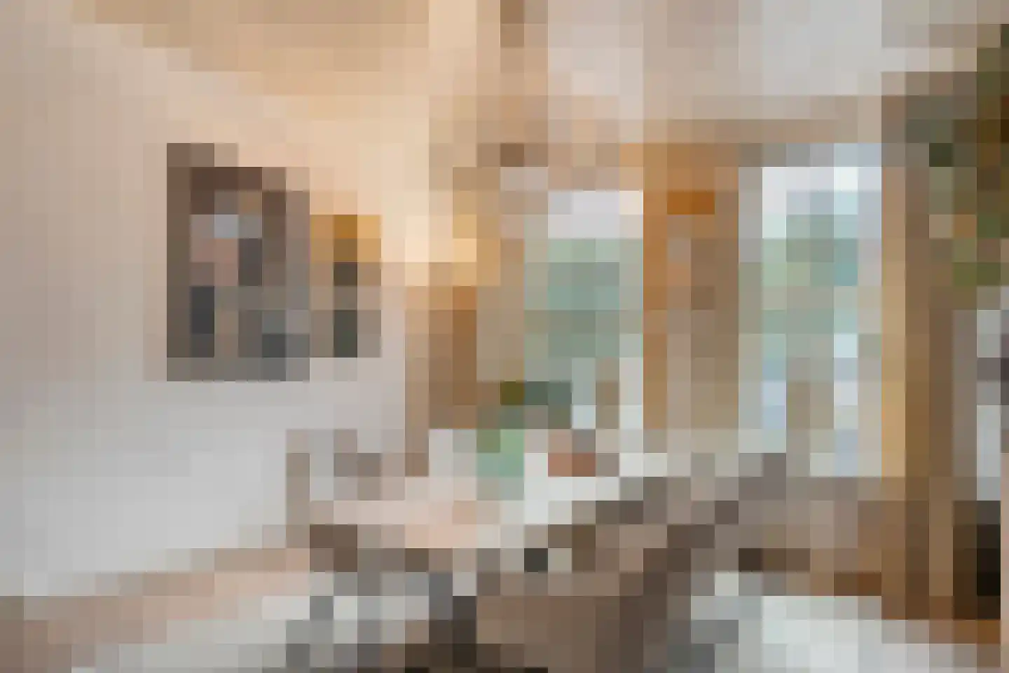 Bierkade 4 Blokzijl thumbnail 4