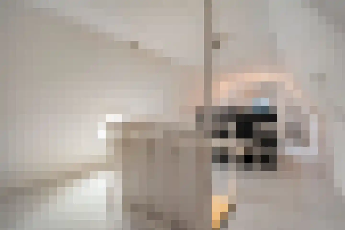 Bierkade 4 Blokzijl thumbnail 42