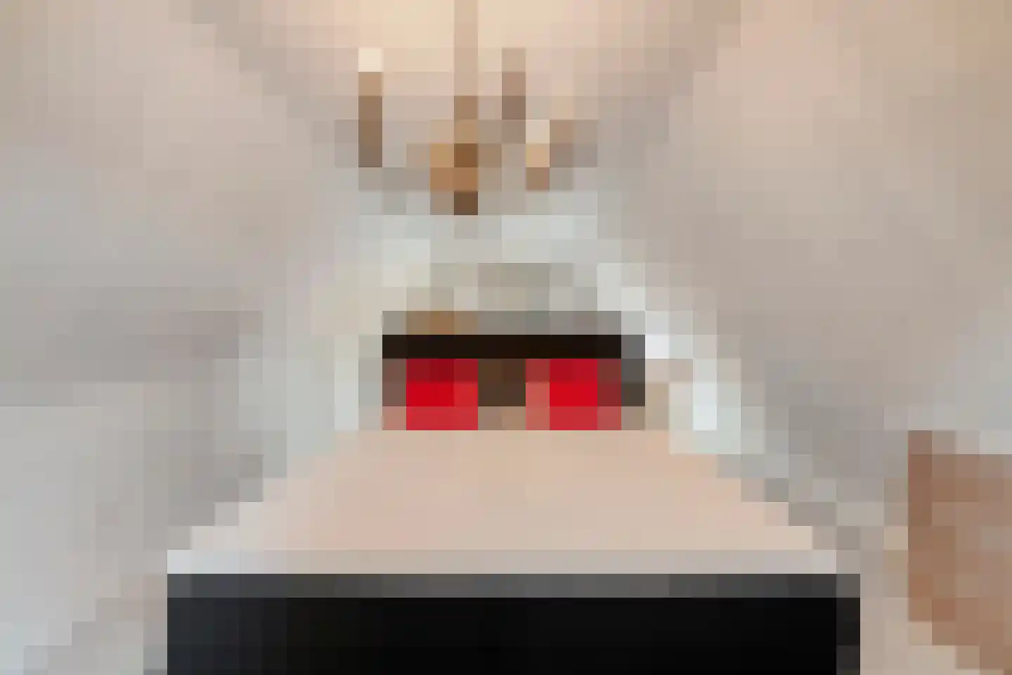 Bierkade 4 Blokzijl thumbnail 43