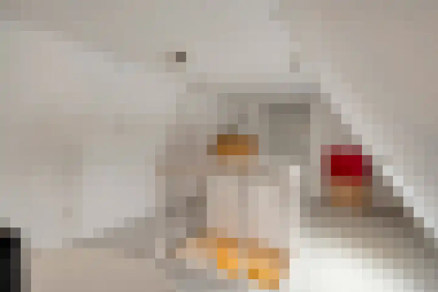 Bierkade 4 Blokzijl thumbnail 44