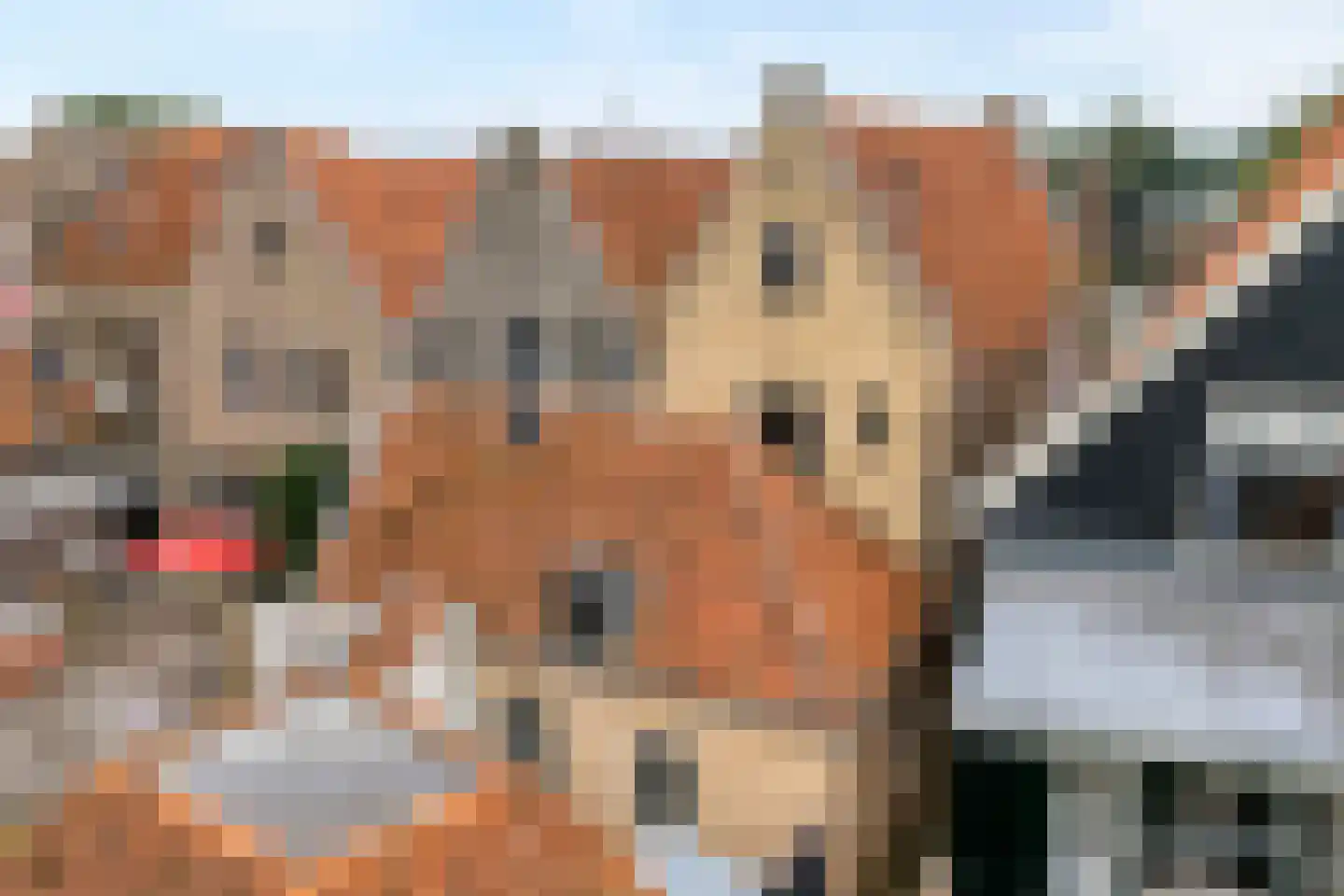 Bierkade 4 Blokzijl thumbnail 7