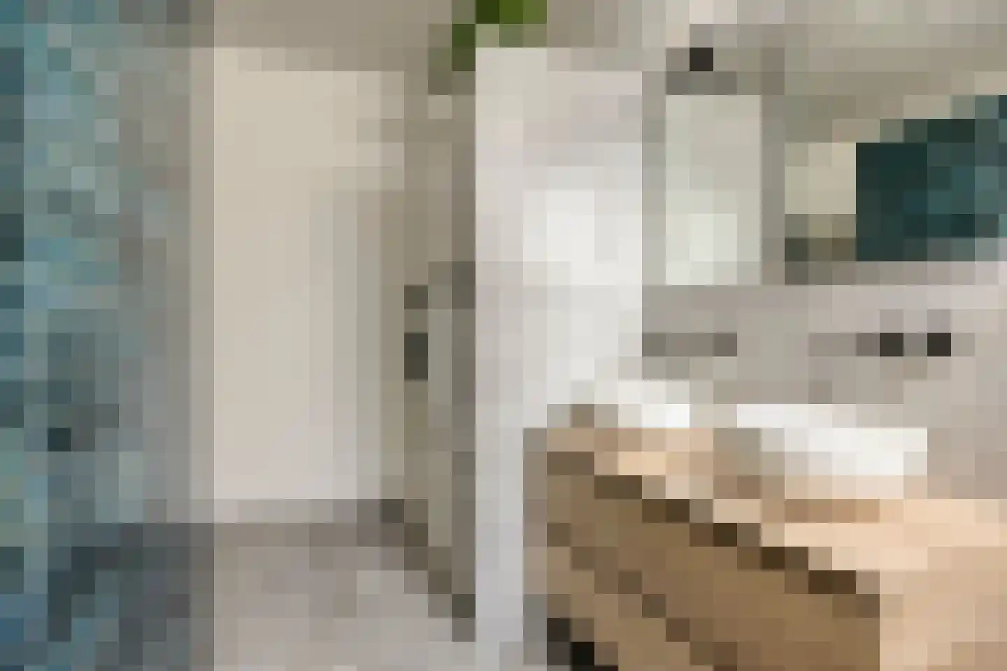 Bierkade 6 Purmerend thumbnail 25