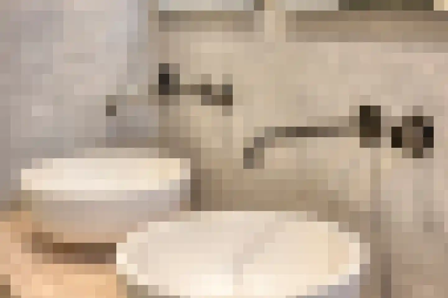 Bierkade 6 Purmerend thumbnail 28