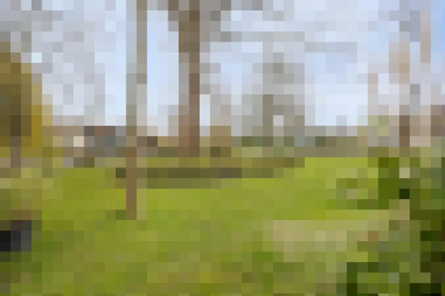 Bierkade 6 Purmerend thumbnail 51