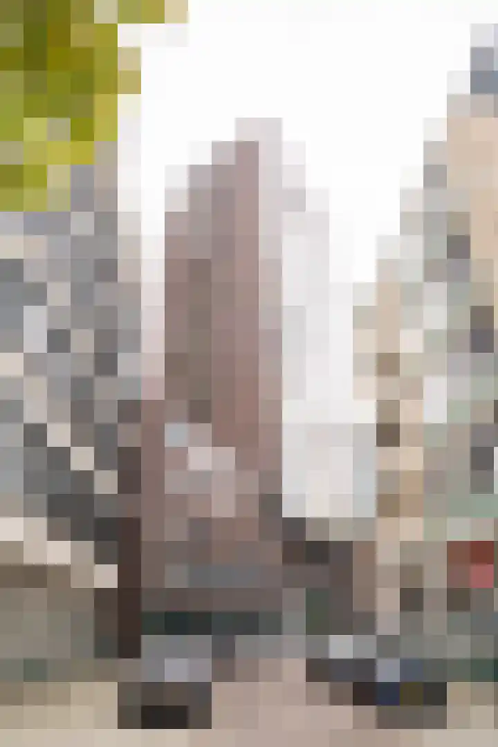Bierstraat 109 Rotterdam thumbnail 22