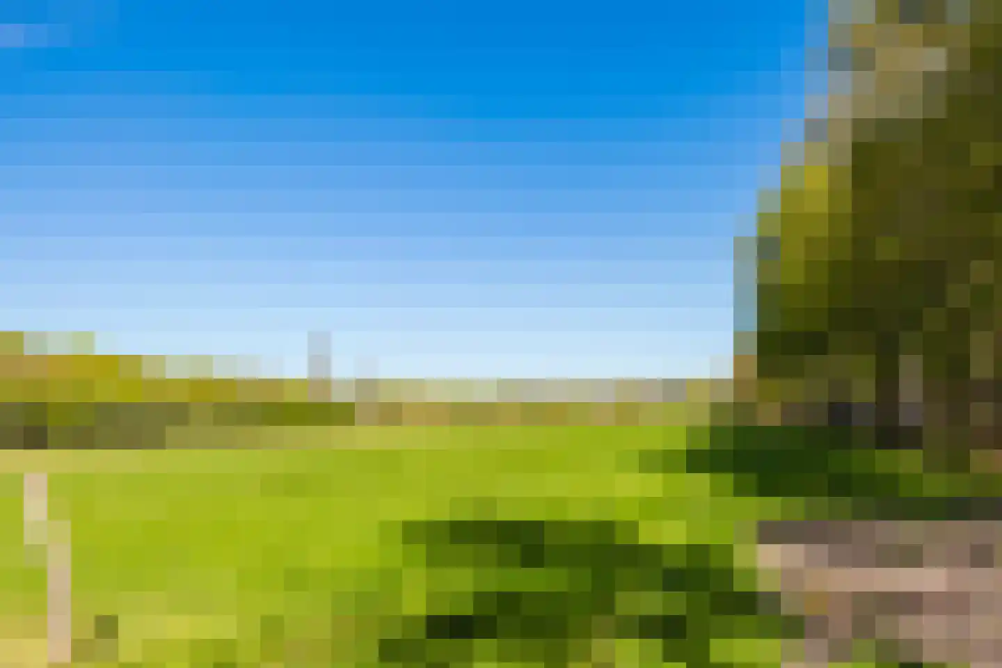 Bieruma Oostingweg 25 Oranjewoud thumbnail 5