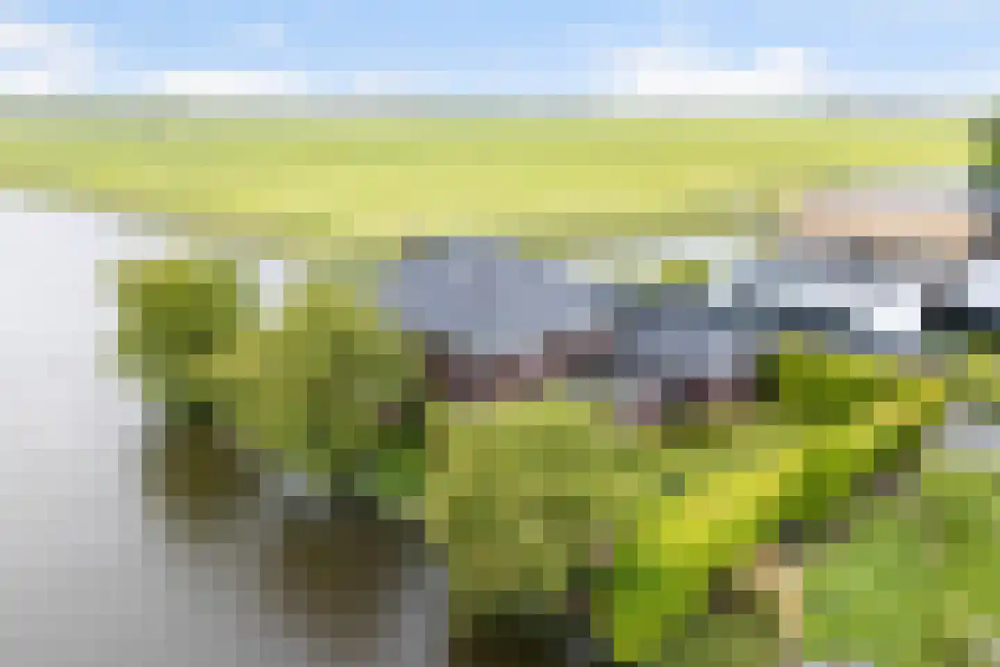 Bierumerterp 2 Dokkum
