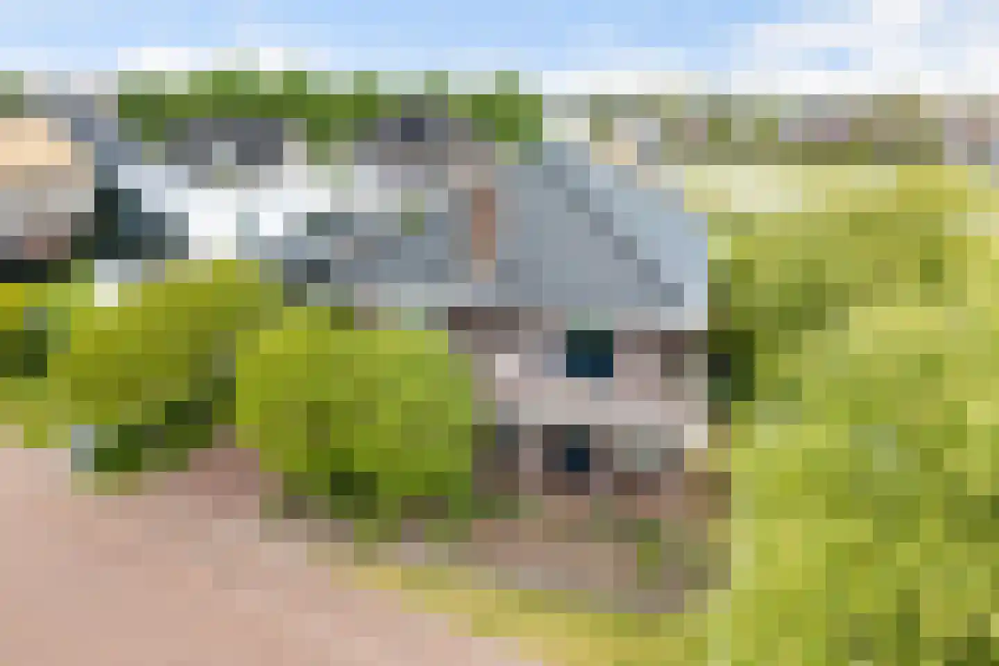 Bierumerterp 2 Dokkum foto 2