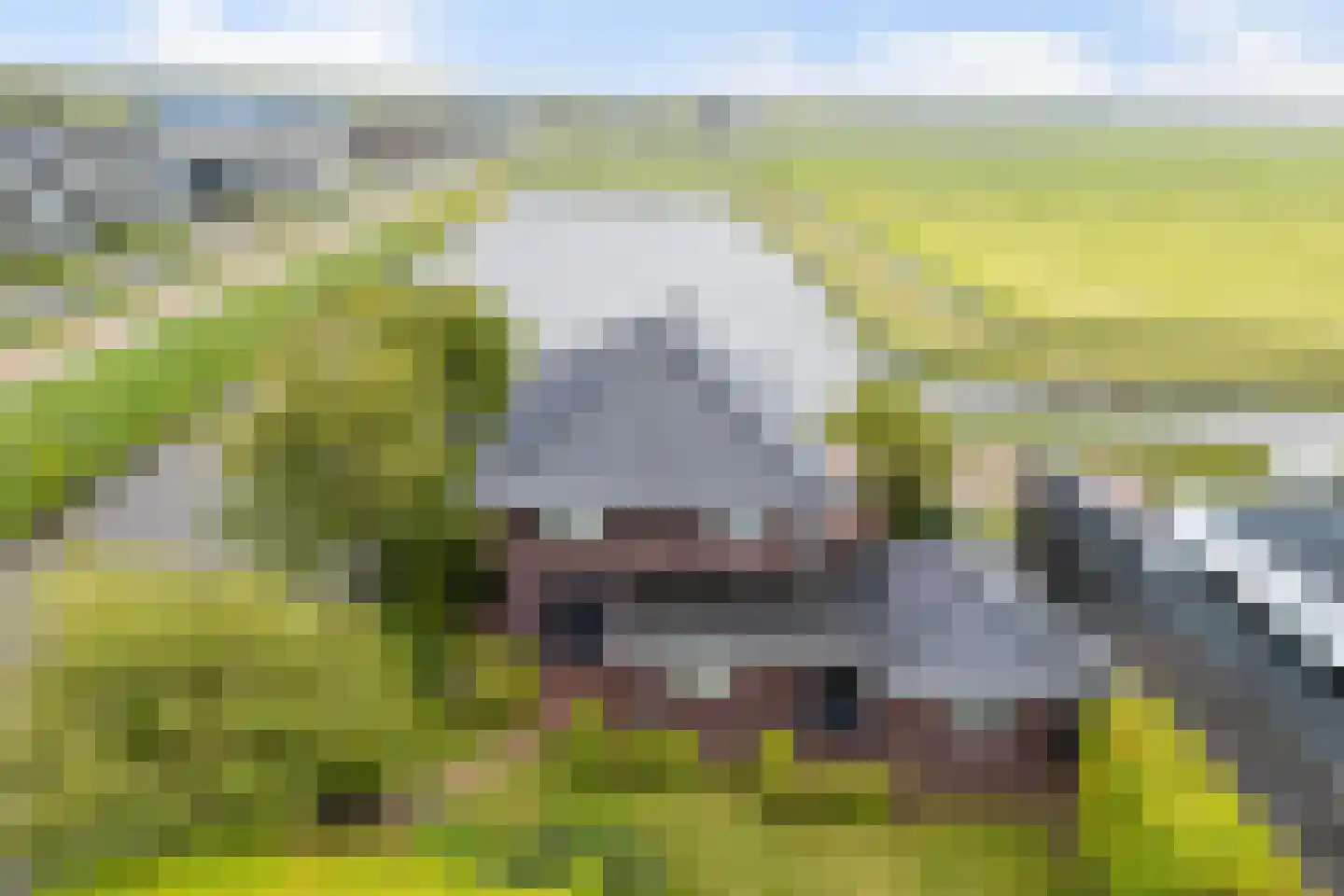 Bierumerterp 2 Dokkum foto 3