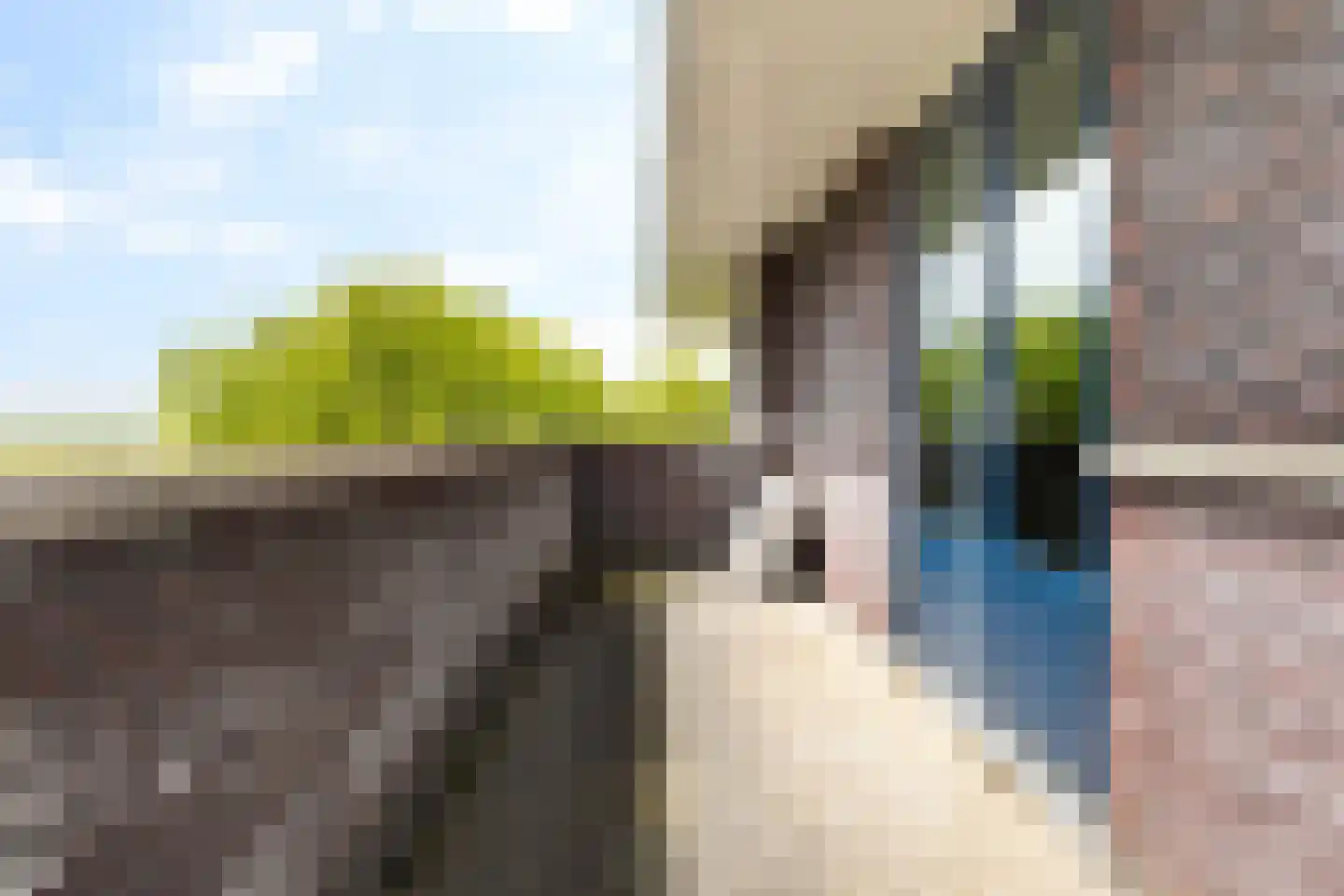 Bierumerterp 2 Dokkum thumbnail 47