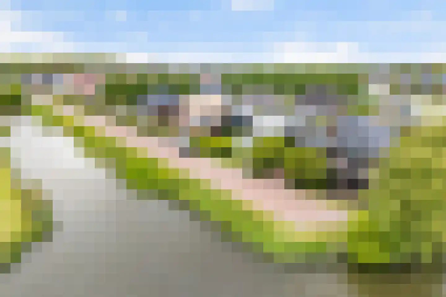 Bierumerterp 2 Dokkum thumbnail 5