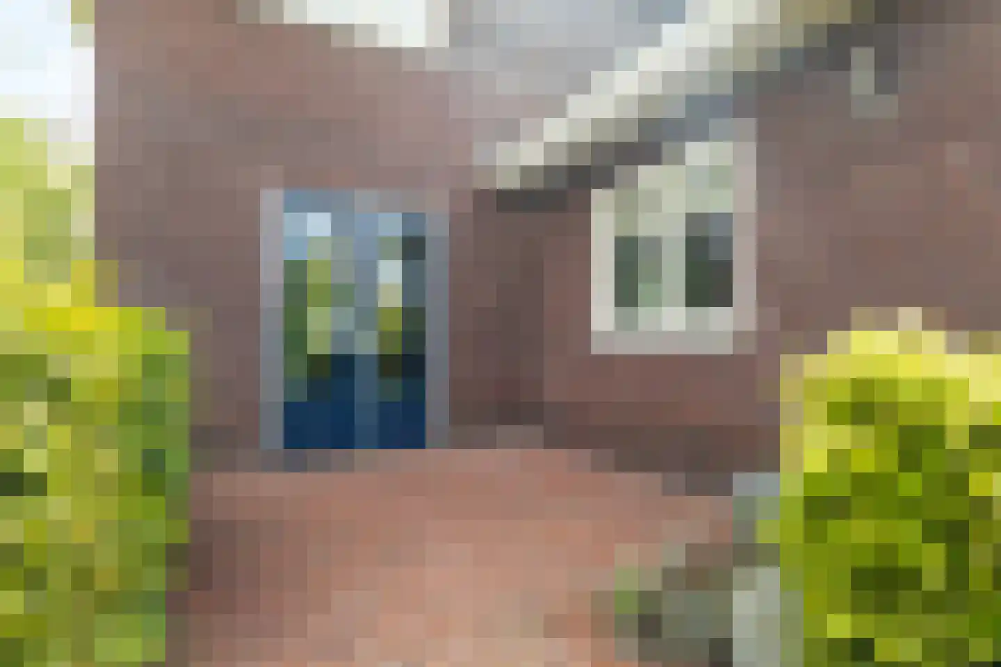 Bierumerterp 2 Dokkum thumbnail 53