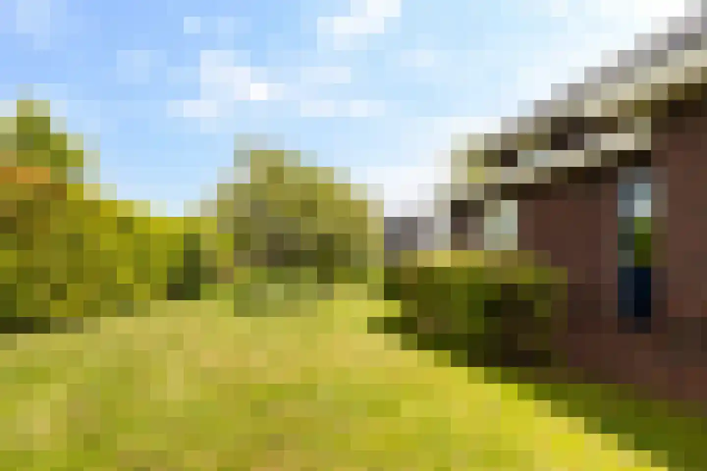 Bierumerterp 2 Dokkum thumbnail 57