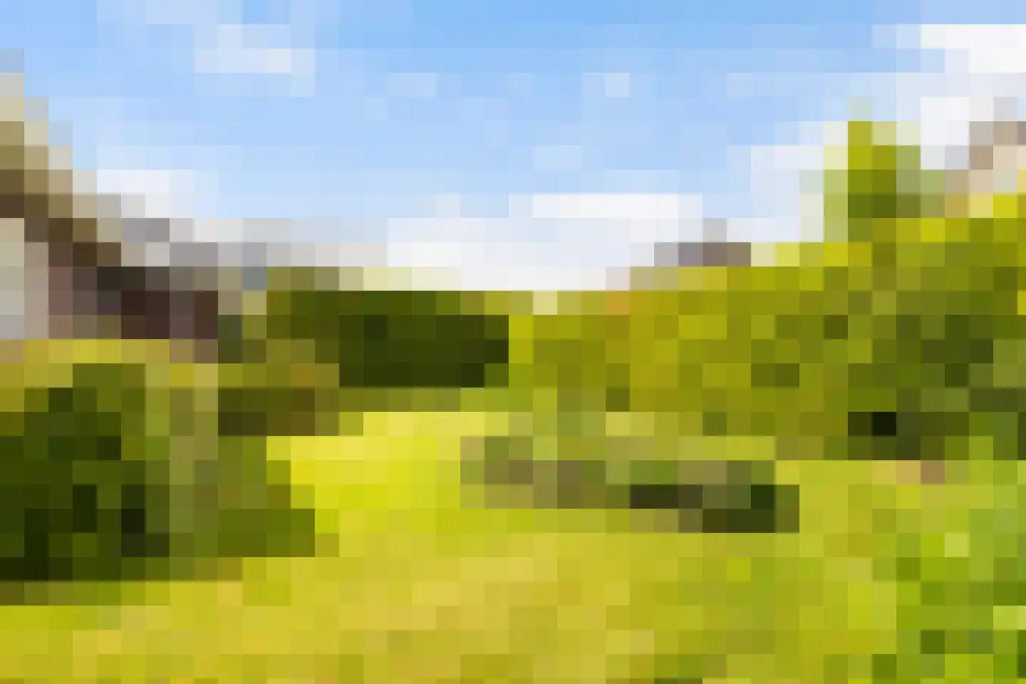 Bierumerterp 2 Dokkum thumbnail 58