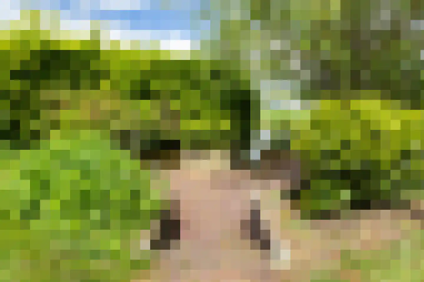 Bierumerterp 2 Dokkum thumbnail 59