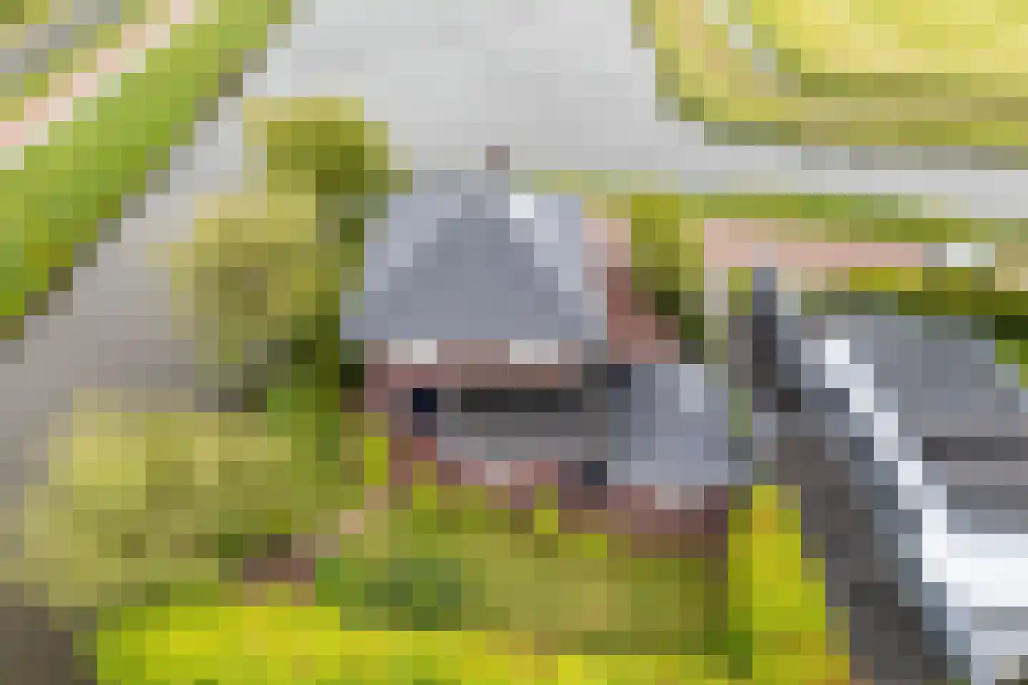 Bierumerterp 2 Dokkum thumbnail 69