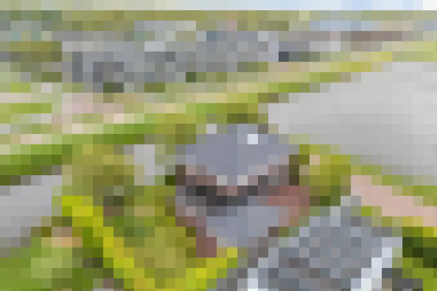 Bierumerterp 2 Dokkum thumbnail 70