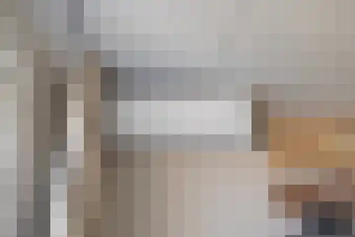 Biervlietplein 22 Tilburg thumbnail 20
