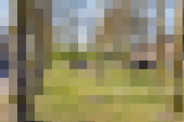 Biervlietplein 22 Tilburg thumbnail 33