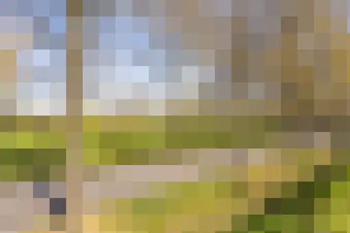 Biervlietplein 22 Tilburg thumbnail 34
