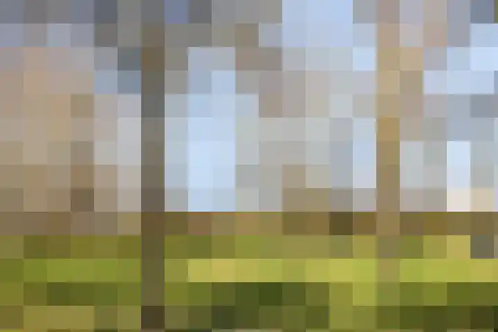 Biervlietplein 22 Tilburg thumbnail 35