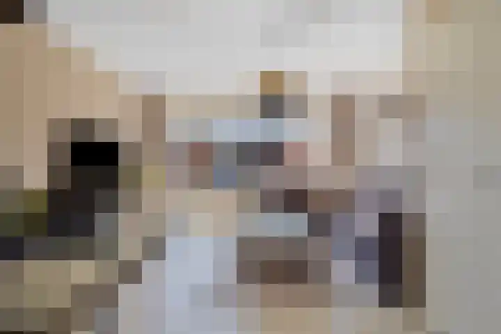 Biervlietplein 22 Tilburg thumbnail 6