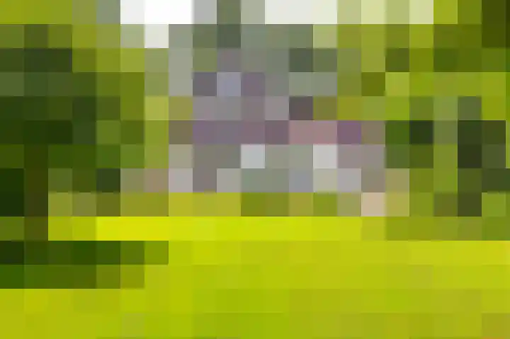 Bierweg 14 Blaricum