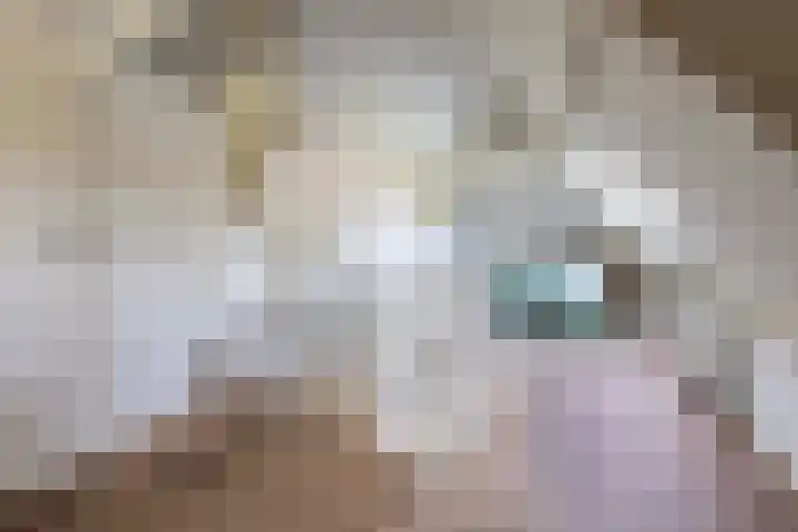 Bierweg 14 Blaricum thumbnail 25