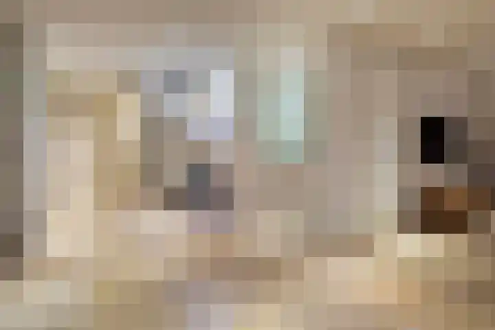 Bierweg 14 Blaricum thumbnail 29