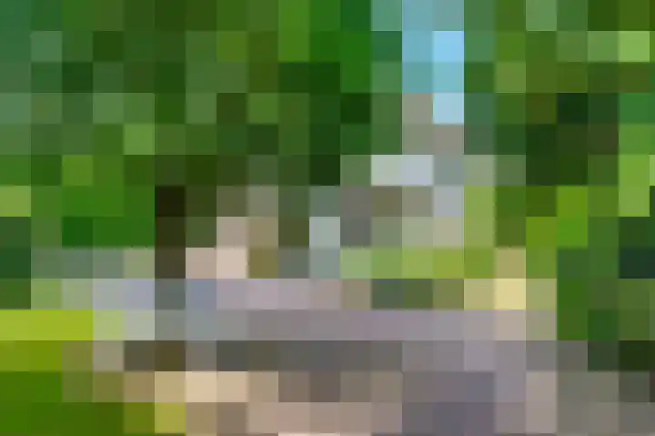 Bierweg 14 Blaricum thumbnail 34