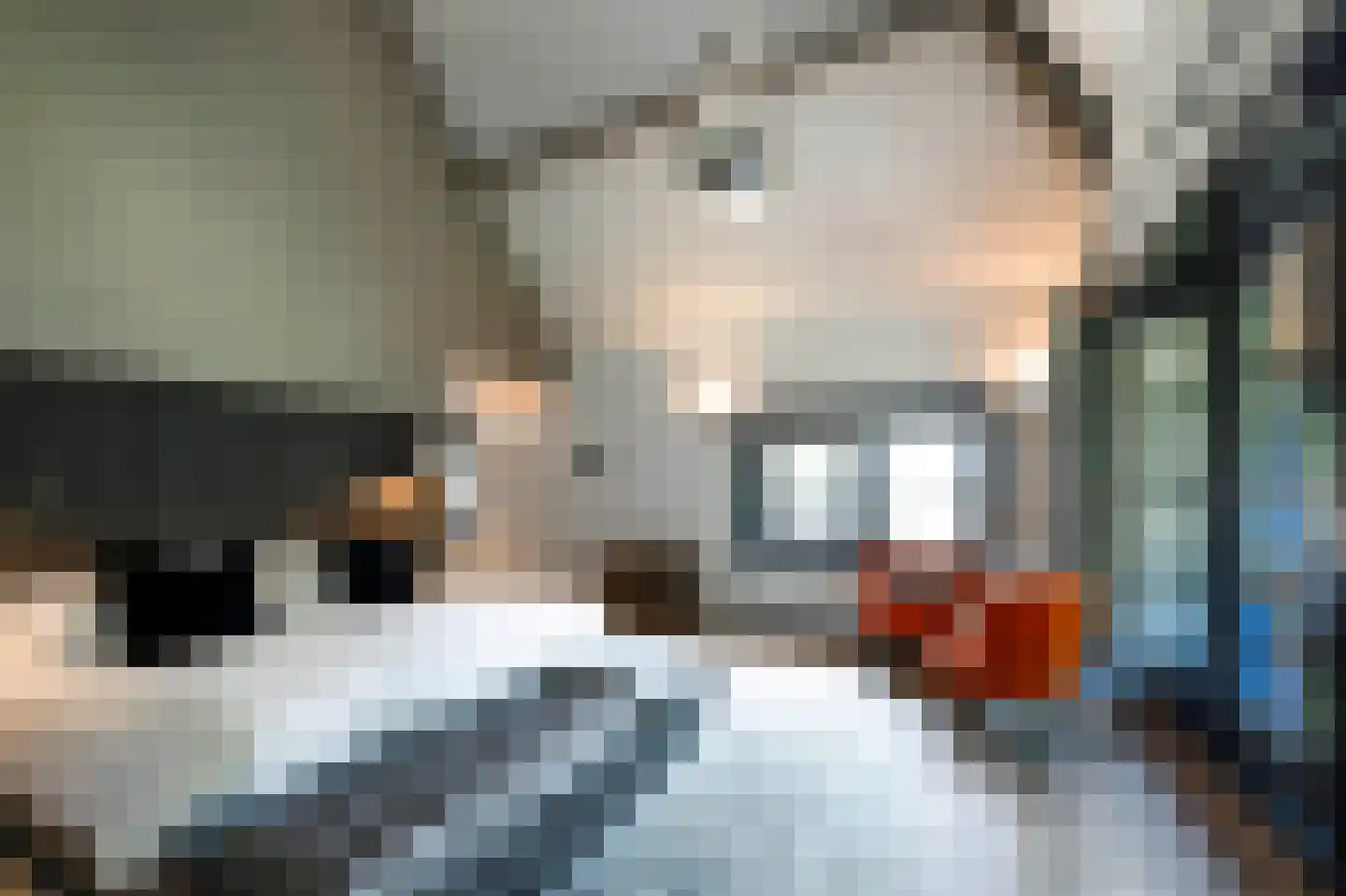 Bierweg 43 Blaricum thumbnail 7