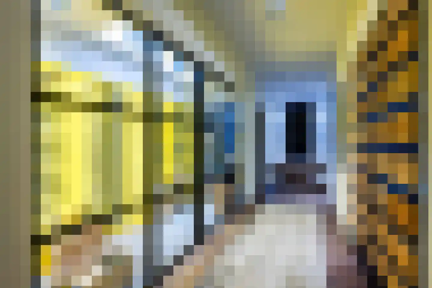 Bierweg 43 Blaricum thumbnail 8