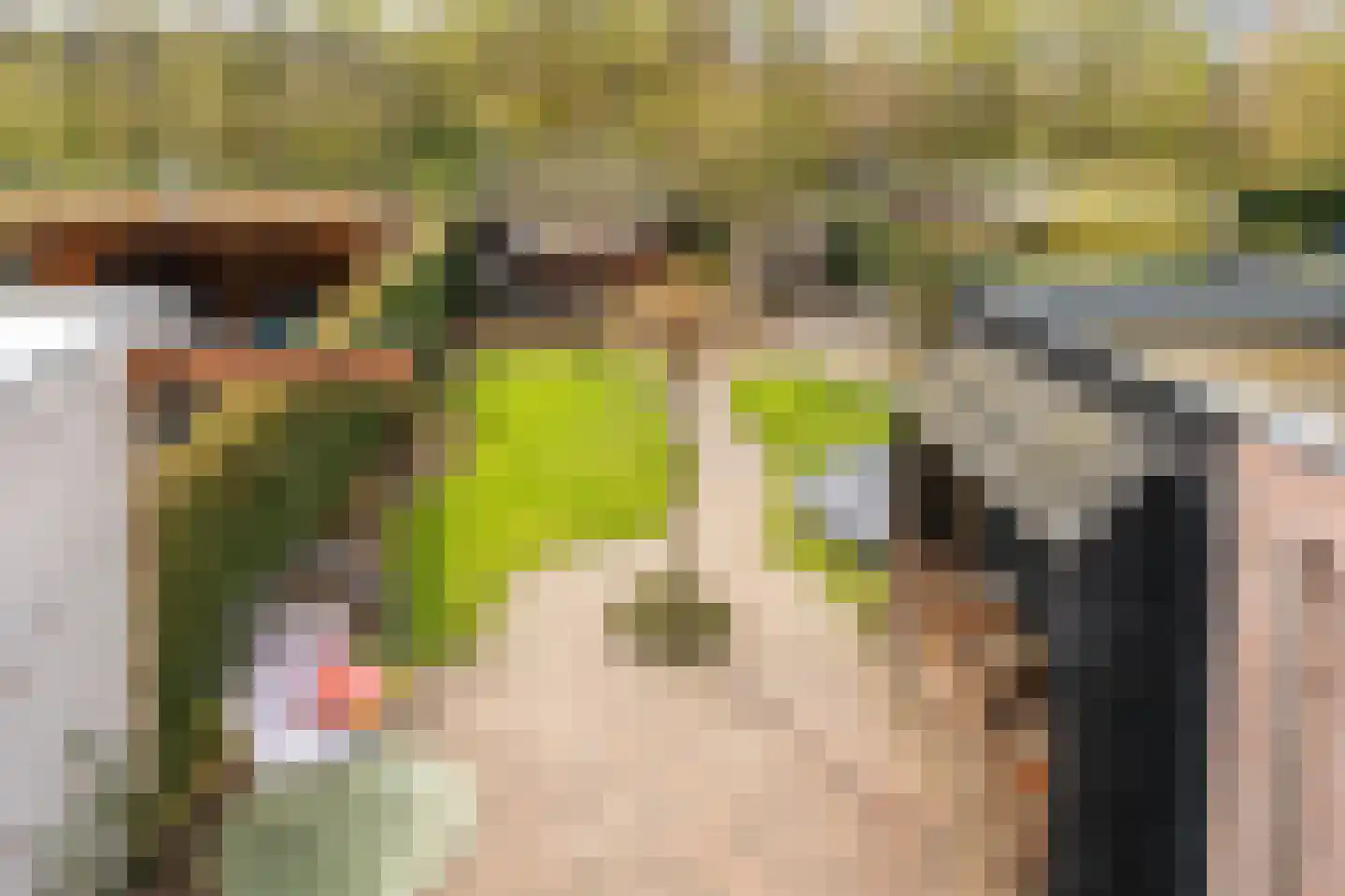 Biesbongerd 2 Kesteren thumbnail 34