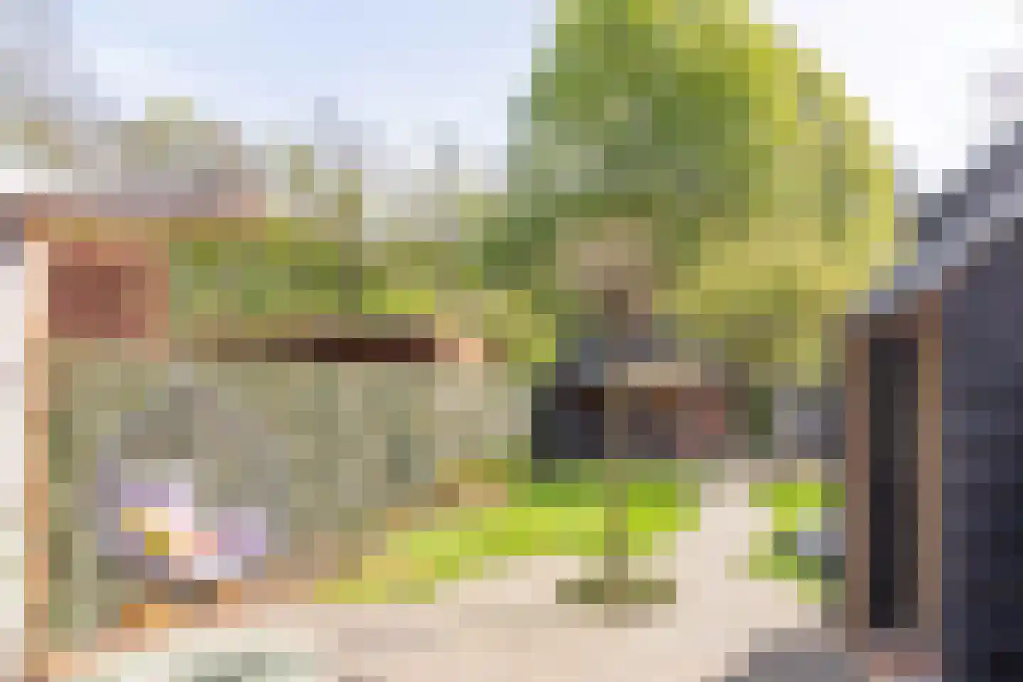 Biesbongerd 2 Kesteren thumbnail 39