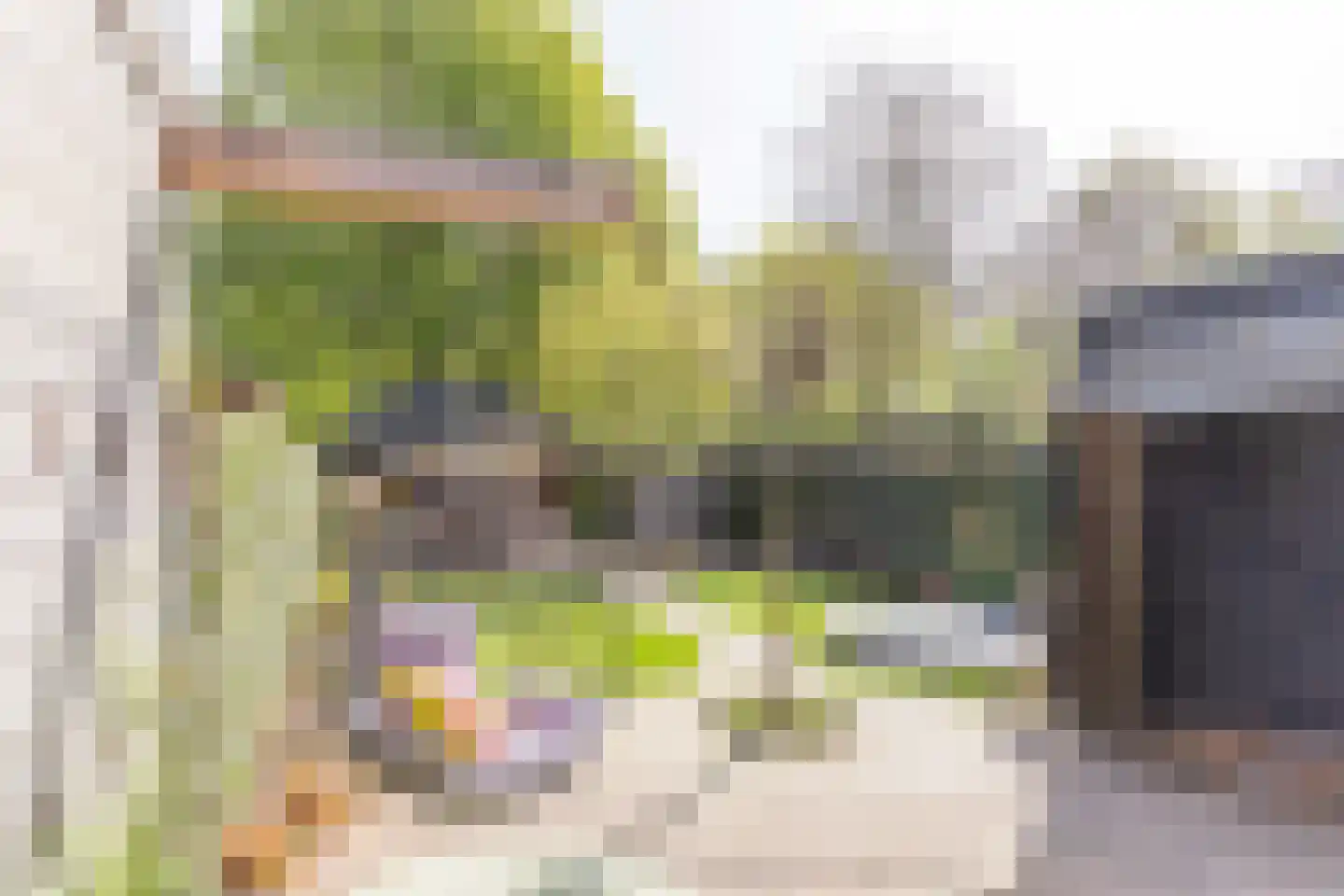 Biesbongerd 2 Kesteren thumbnail 40