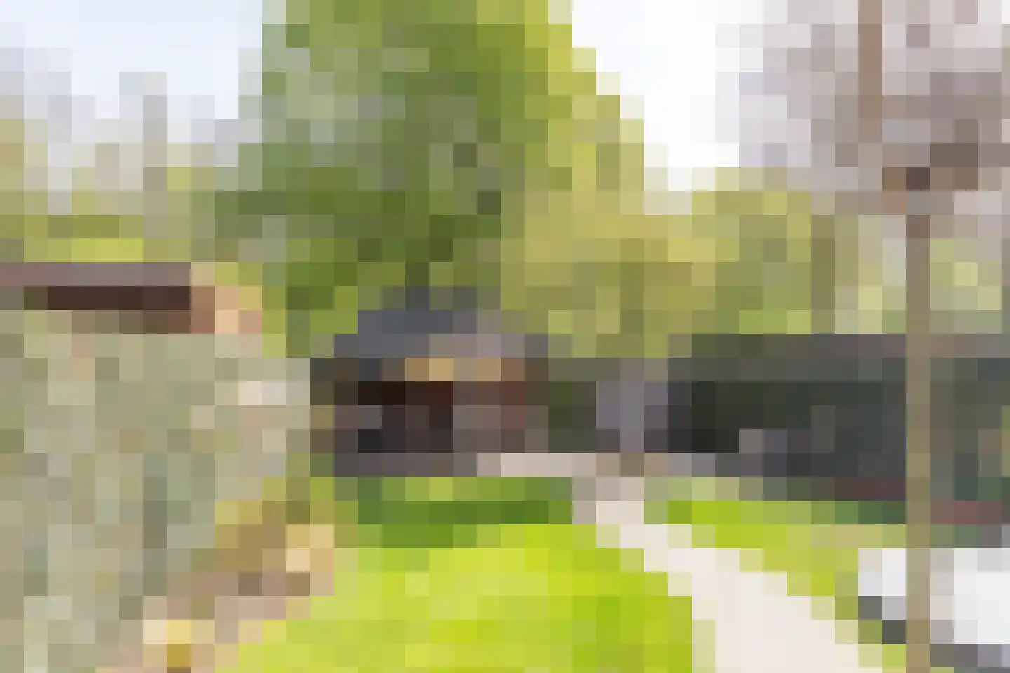 Biesbongerd 2 Kesteren thumbnail 41