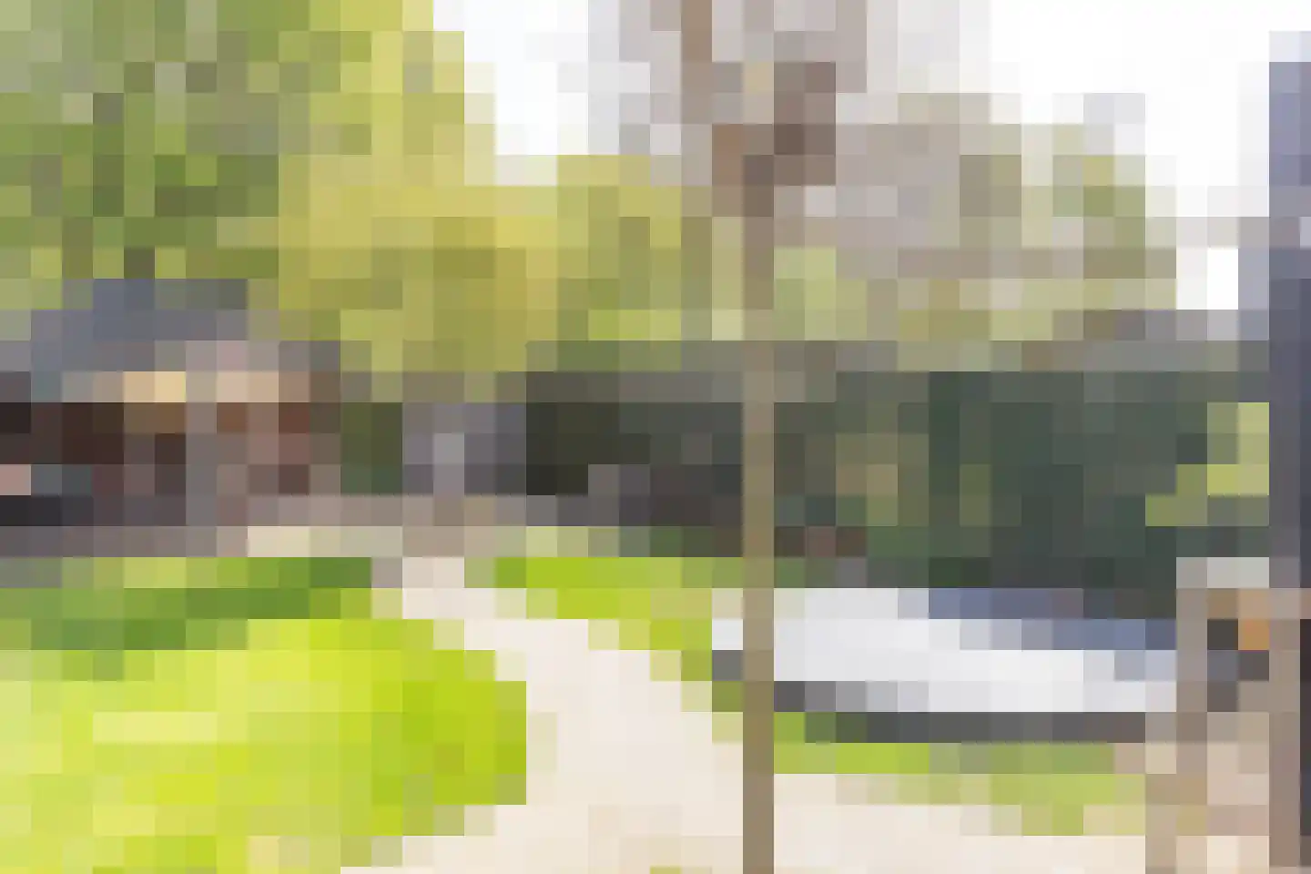 Biesbongerd 2 Kesteren thumbnail 43